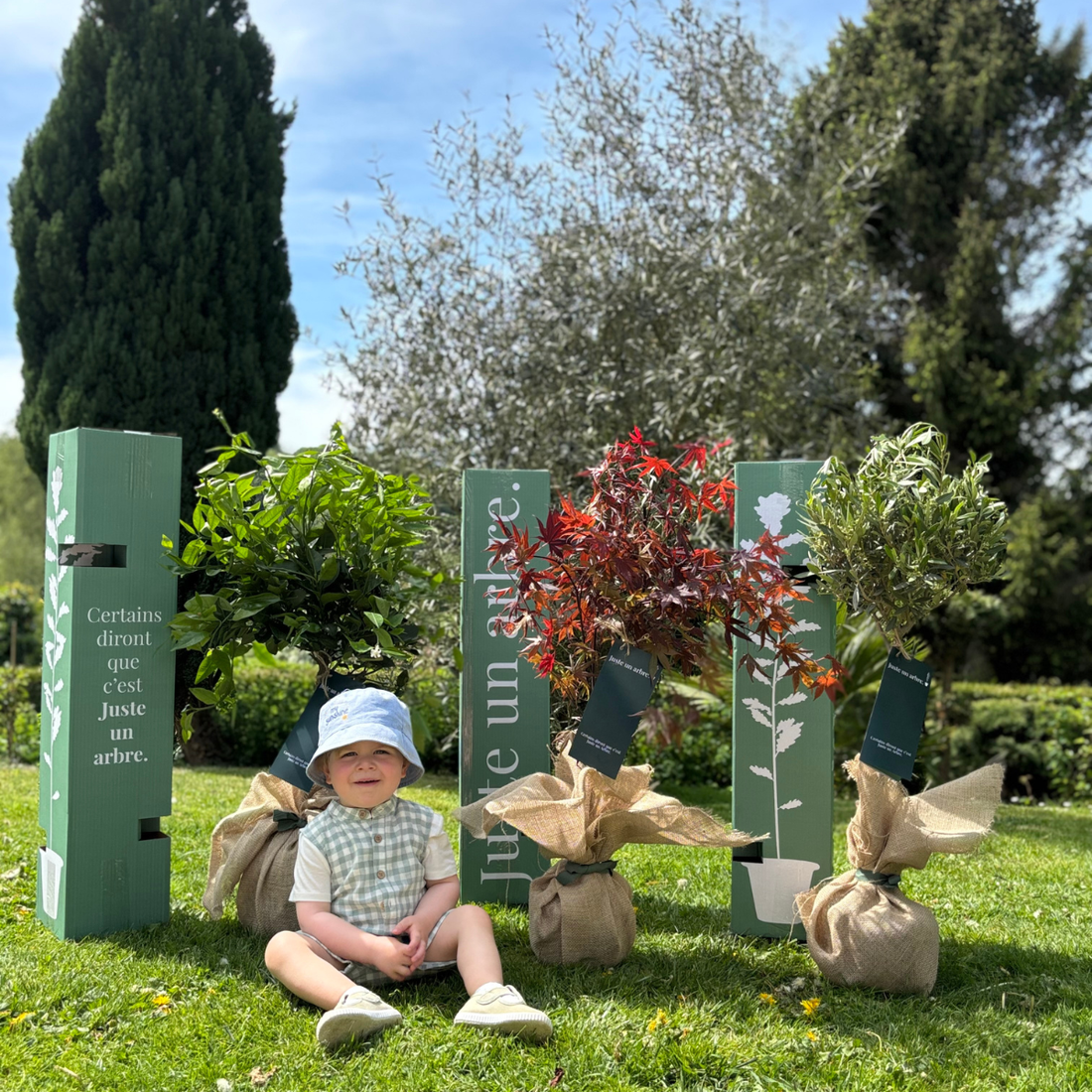 fleurs de saison fleurs en bouquet arbre a planter idee cadeau