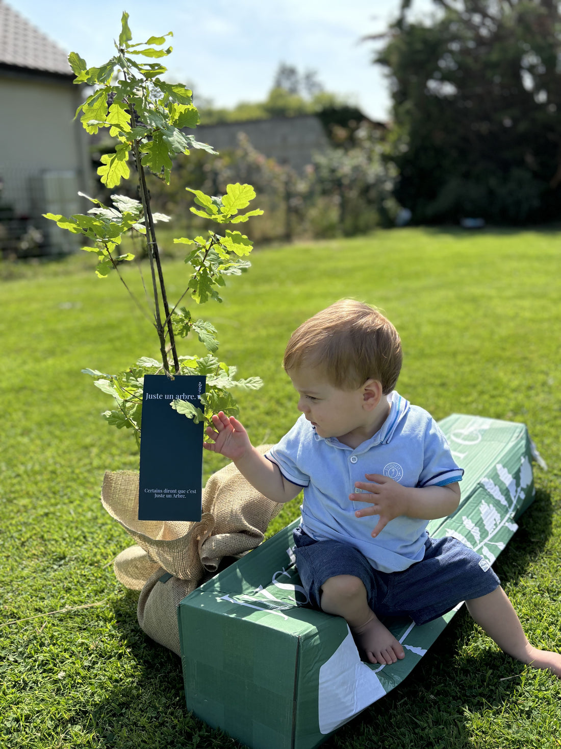Arbre cadeau de crémaillère Cadeau pour nouvelle maison 
