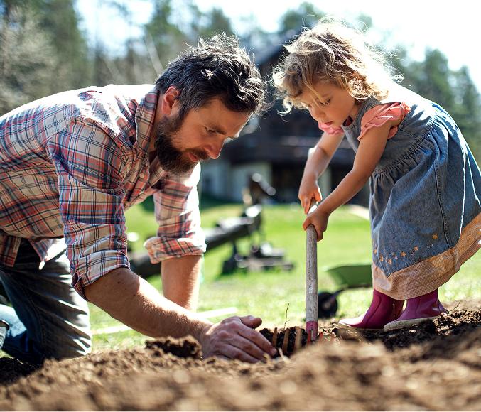 Offrir un arbre de naissance a planter